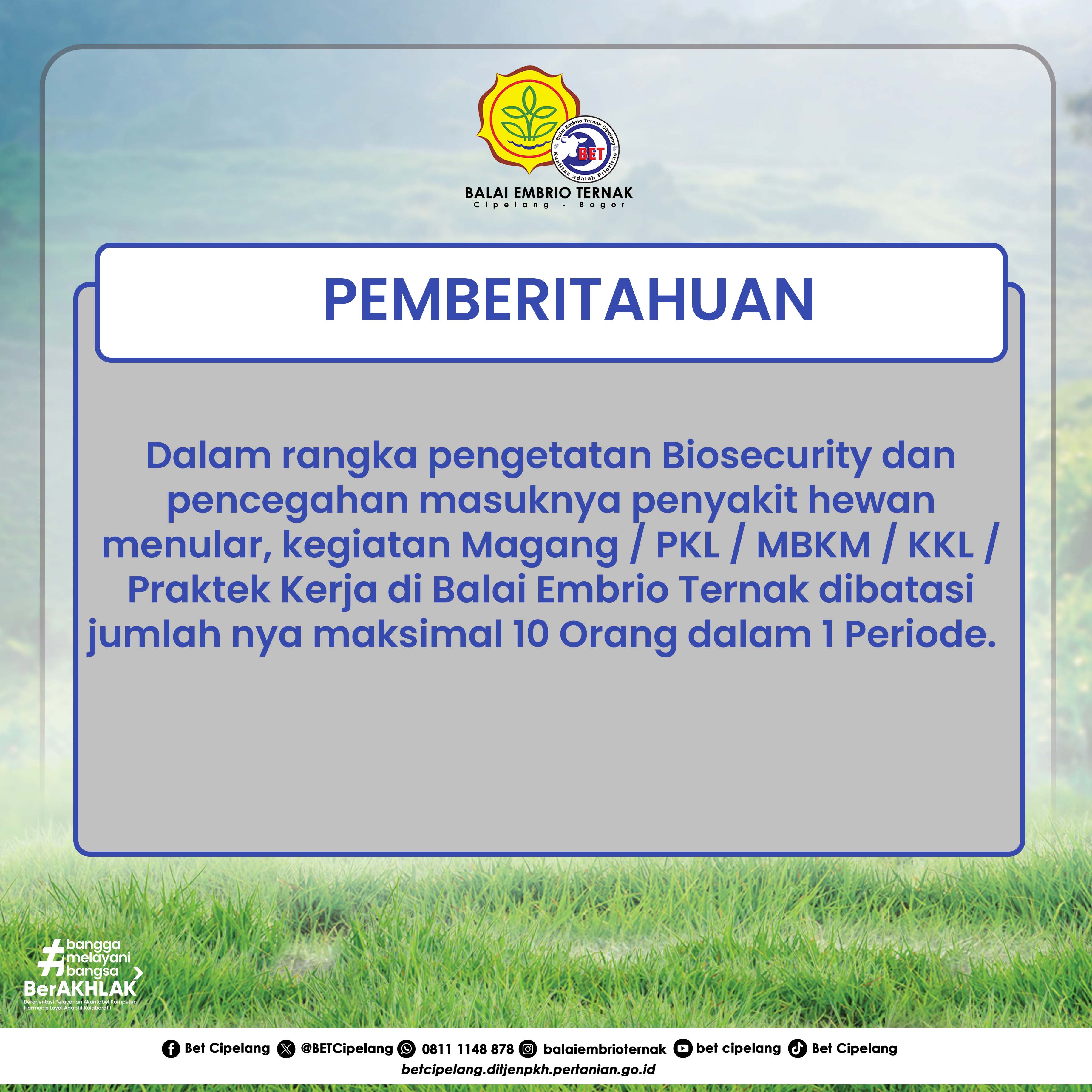 Informasi Magang