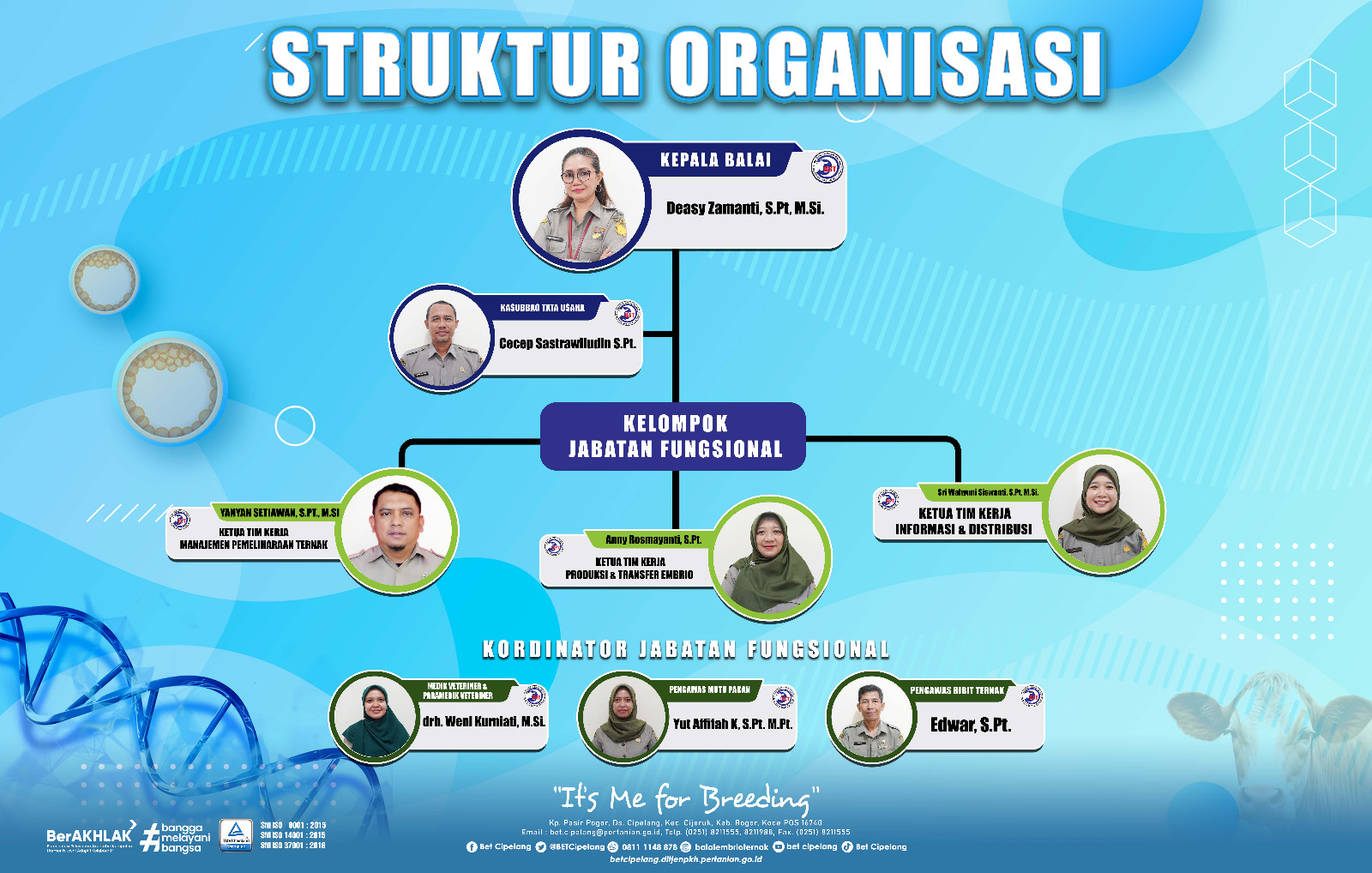 struktur organisasi
